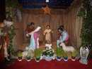 Une crèche verte.JPG